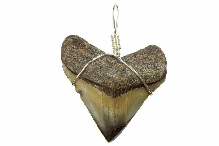 Fossil Megalodon Tooth Necklace #173859